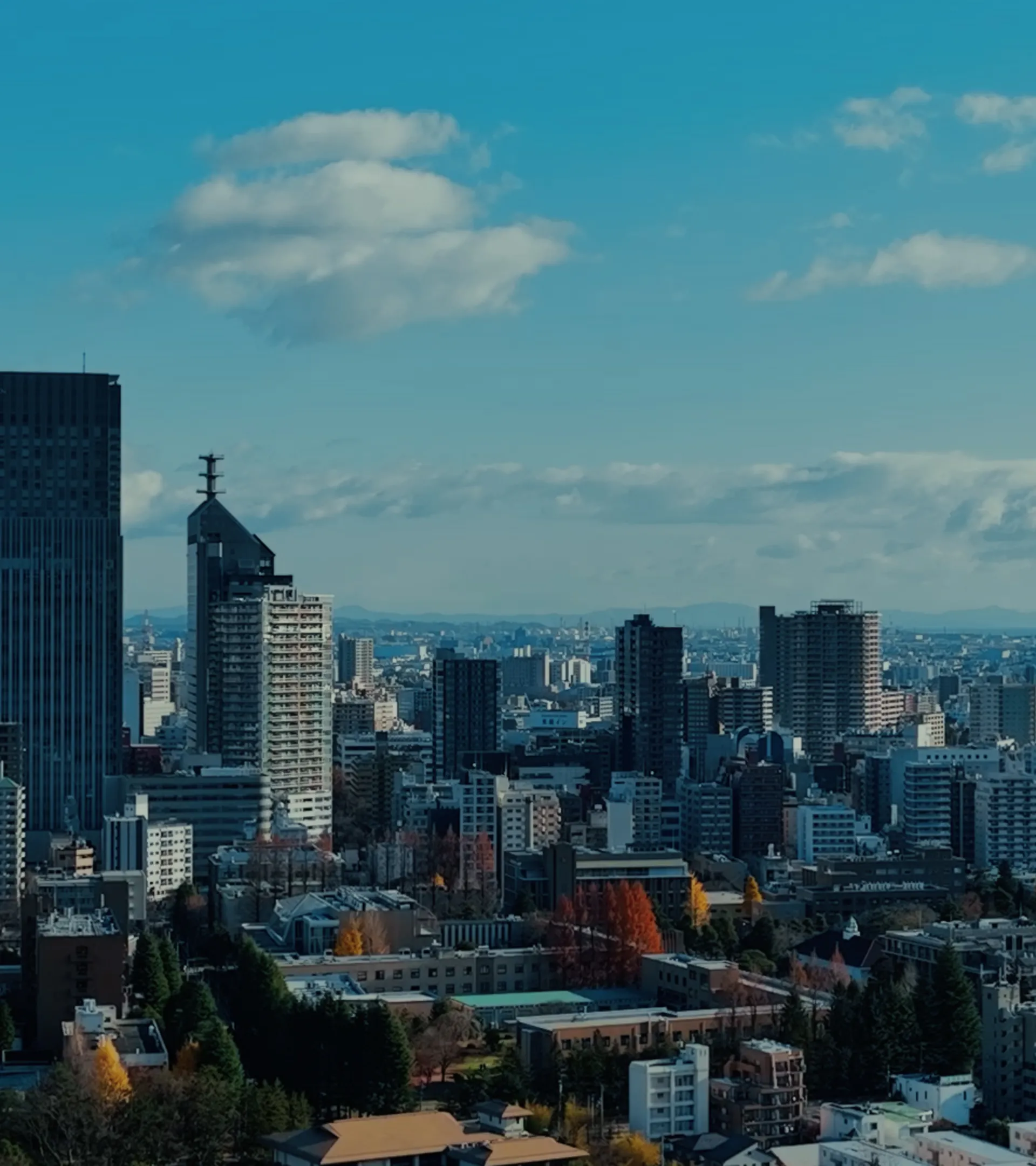 企業のお客様はこちら